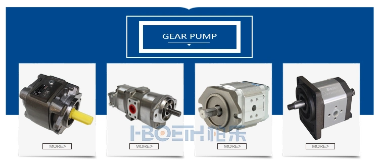 Hydraulic Gear Pump / High Pressure /Kawasaki / Excavator / Crane / Agricultural Machinery / Bulldozer / Loader / Forklift Gear Pump Rexroth Parker