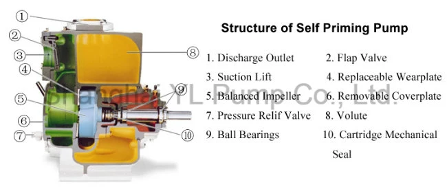 2 Inch Semi-Open Impeller Self Priming Centrifugal Pumps