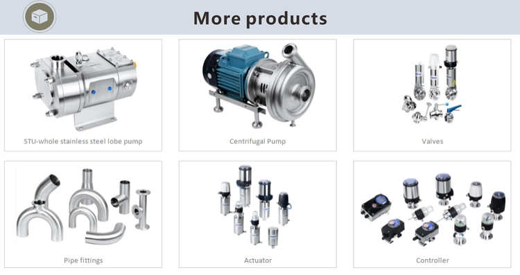 High Viscosity Rotary Gear Pump with Built-in Safety Valve