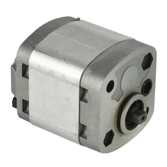 Rotary External Tandem Type Hydraulic Gear Pump with Fast Delivery